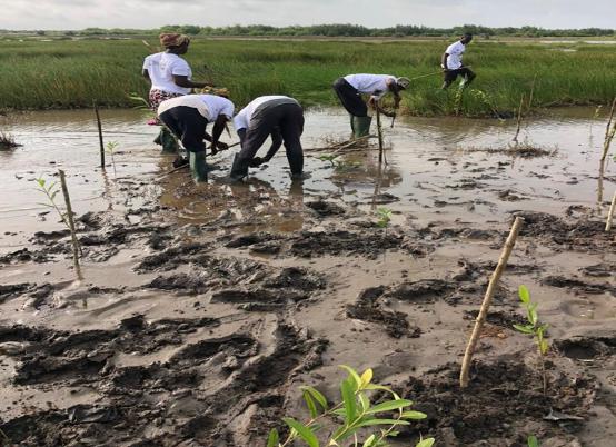 Eco-resilience project and environmental restoration